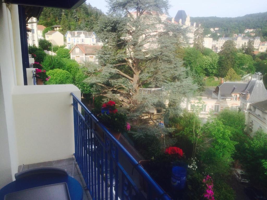Bellevue Hotel Châtel-Guyon Esterno foto